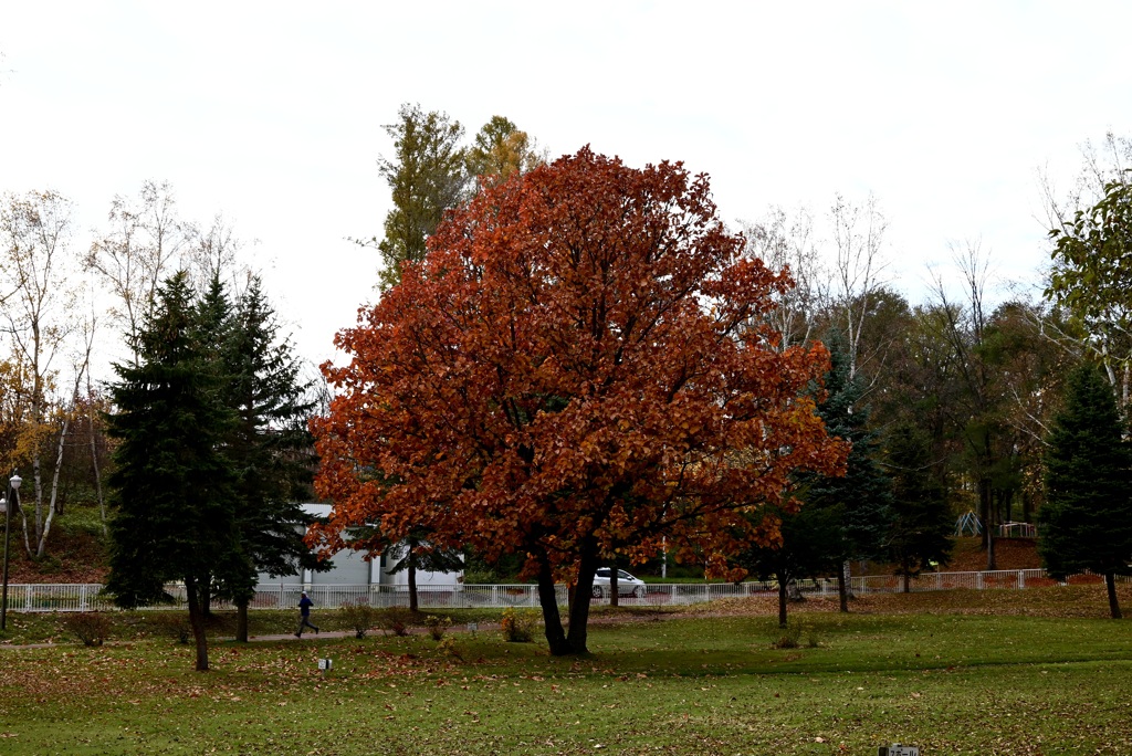 DSC_0701