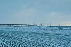 DSC_1347