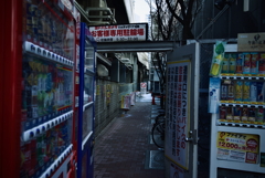 DSC_6440