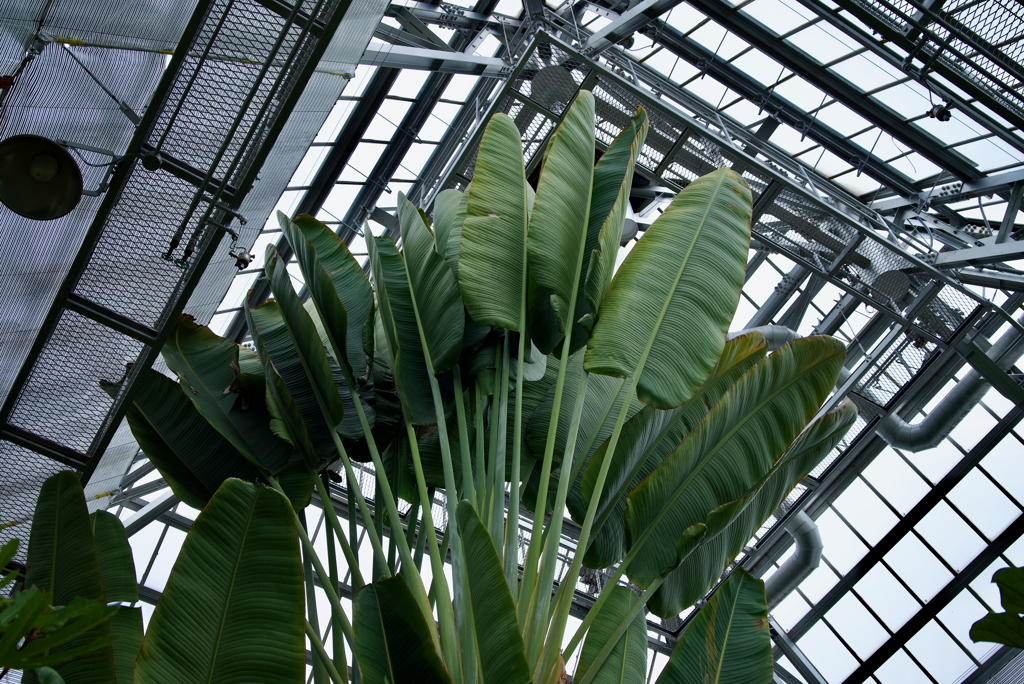 DSC_1172