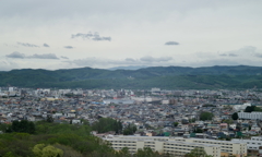 DSC_1254