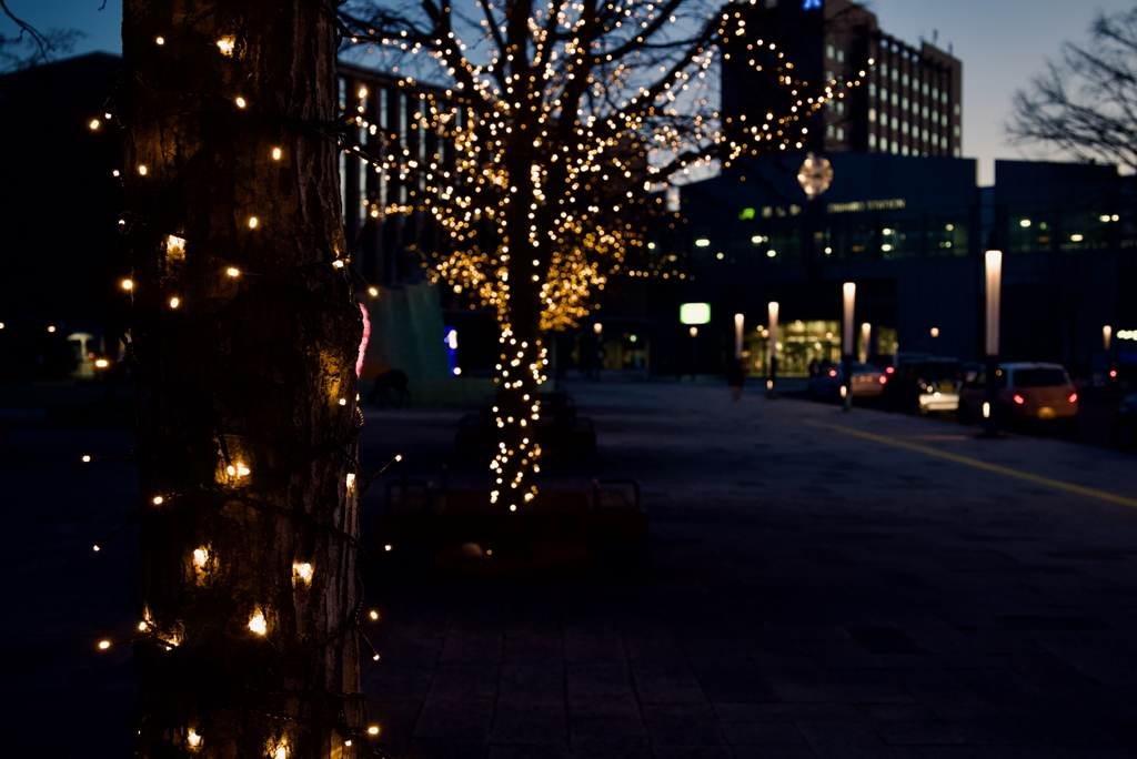 DSC_3656