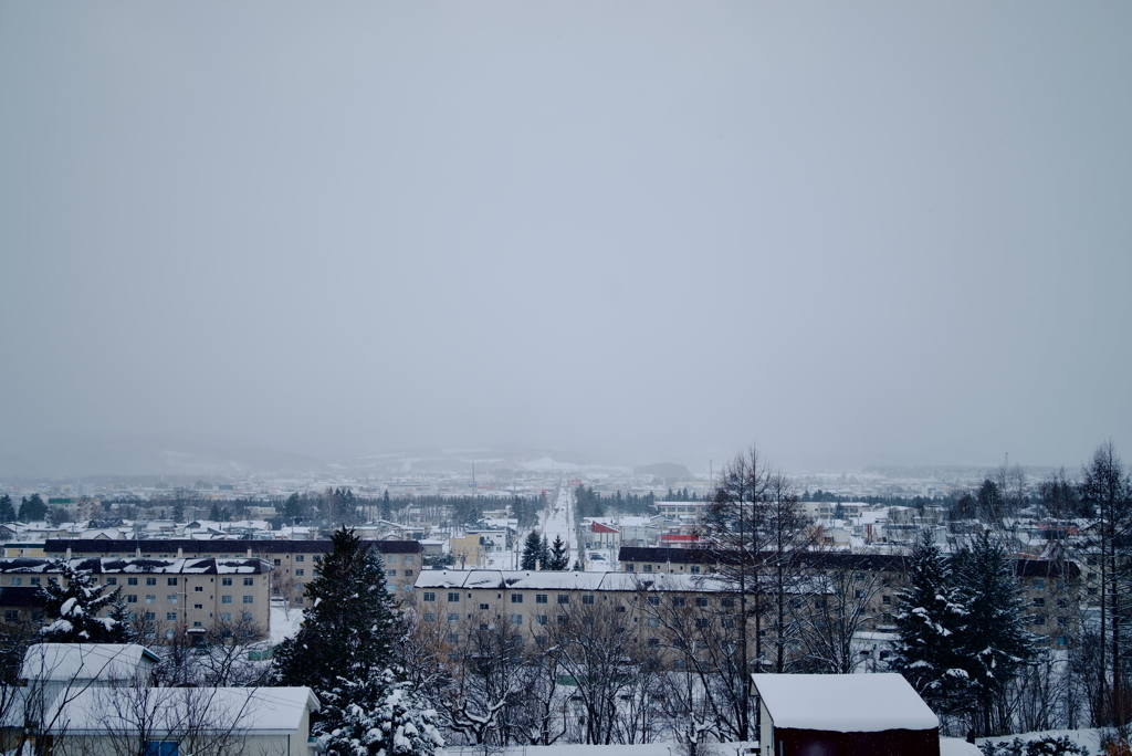 DSC_5633