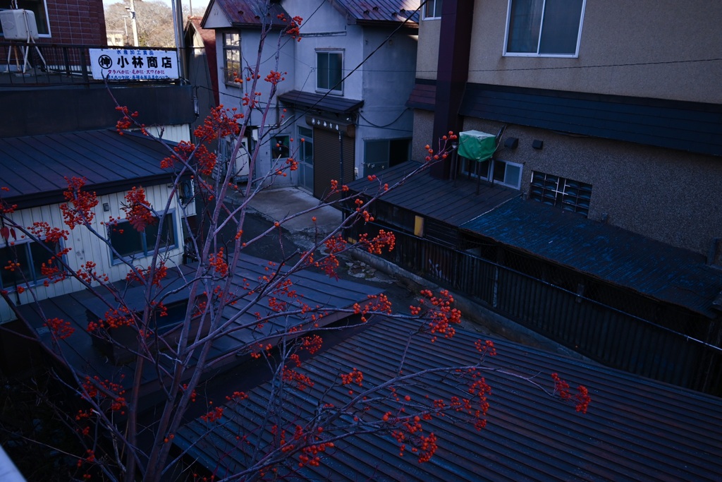 DSC_1310