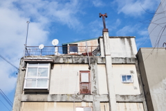 DSC_5003