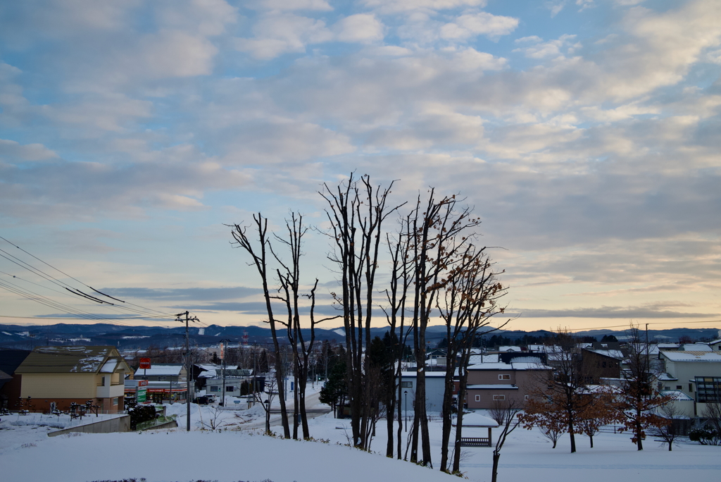 DSC_5098