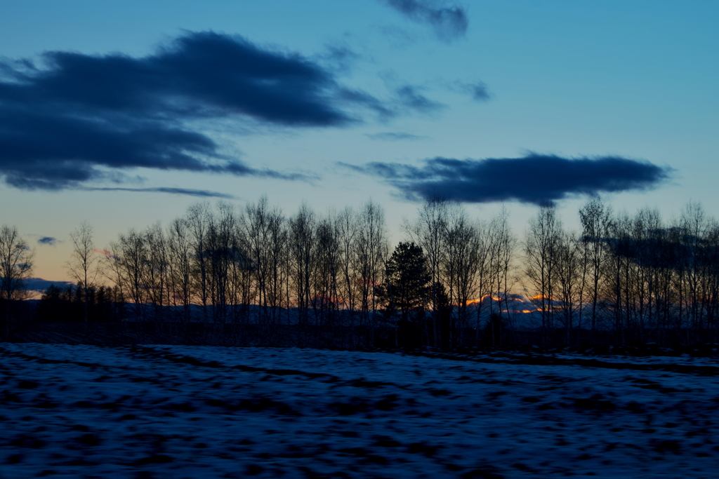 DSC_3276