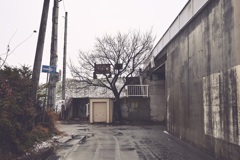 DSC_1979