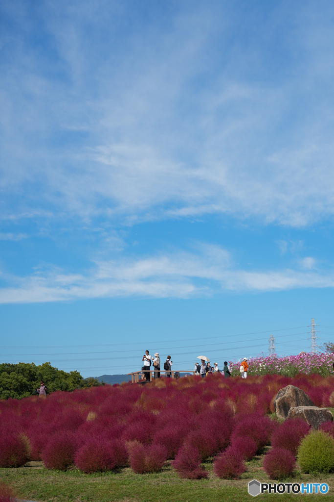 万博記念公園にて