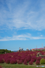 万博記念公園にて