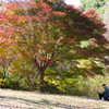 紅葉を写す