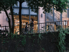 渋谷スナップ