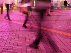 よるの散歩スナップ (ピンクの世界)