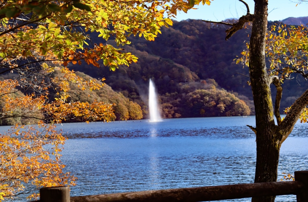紅葉と噴水