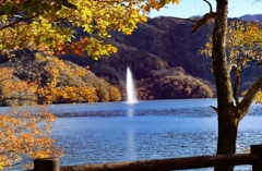 紅葉と噴水