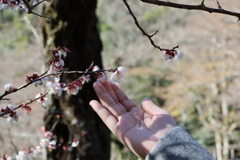 熱海散策