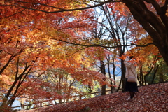 紅葉