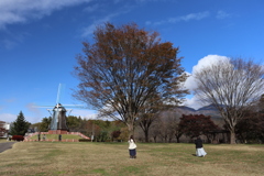 IMG_0609