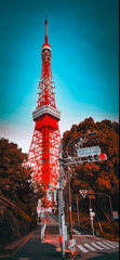 東京タワー