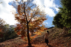 紅葉