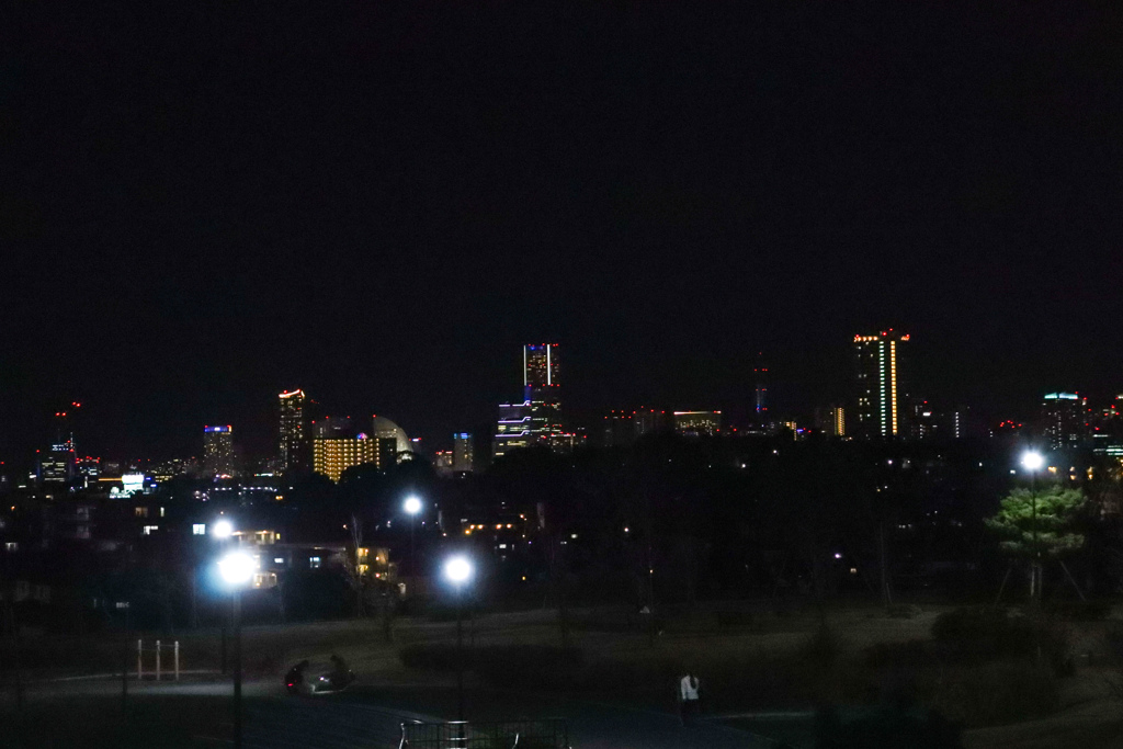 夜の公園