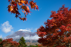 富士山と紅葉２