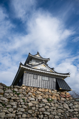 浜松城