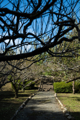 公園の道