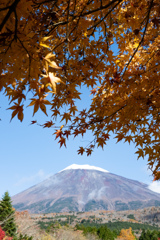 富士山と紅葉