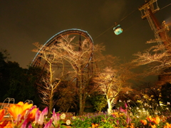 コースターとゴンドラと花