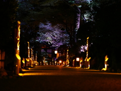 灯の道