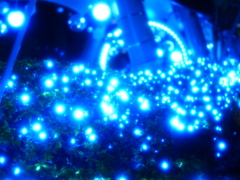 青い電飾