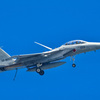 F-15J