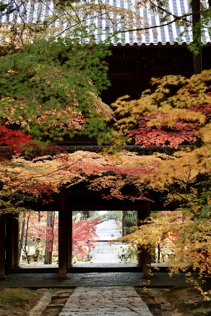 曹源寺