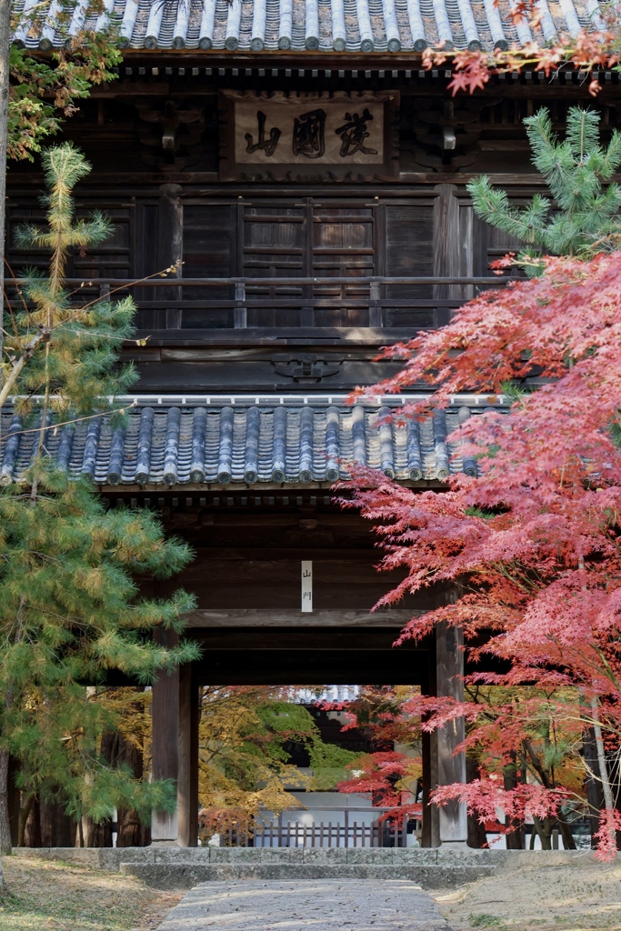 曹源寺