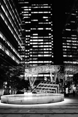 Monochrome Tokyo
