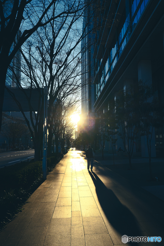 みなとみらい夕景