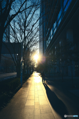 みなとみらい夕景