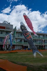 廃校の空を泳ぐ