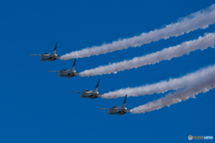 Blues in the blue sky.