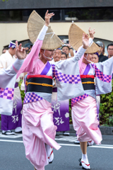 高円寺阿波踊り