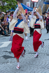 三鷹阿波踊り