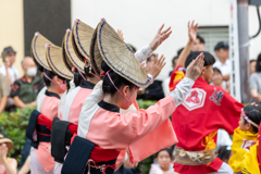 高円寺阿波踊り