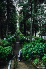 紫陽花神社5