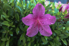 Rainy holiday