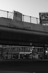 ROPPONGI