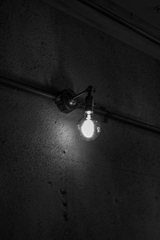 Edison bulb