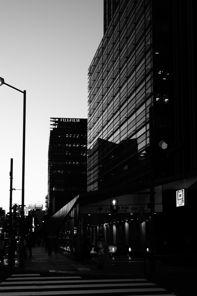 Monochrome Tokyo twilight