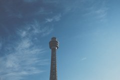The tower.