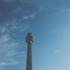 The tower.